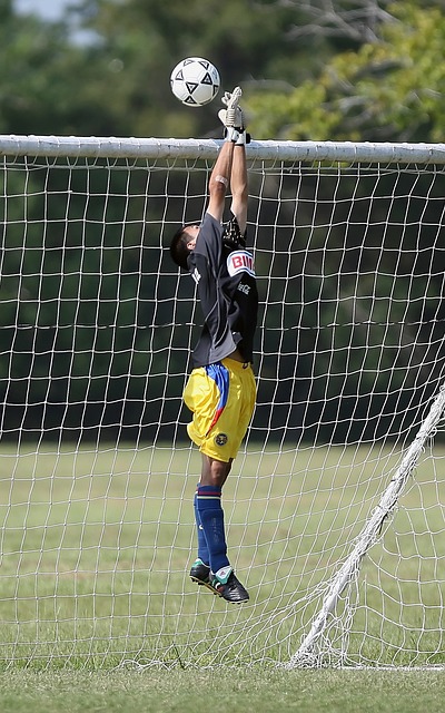 這樣的平庸 這樣的平庸