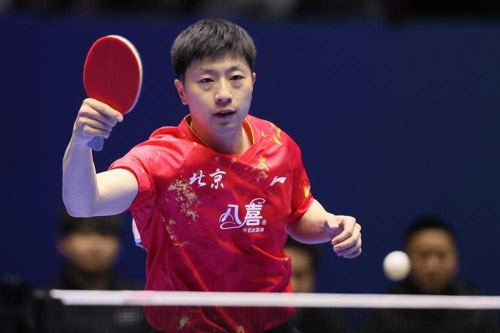 表现充满期 表现充满期