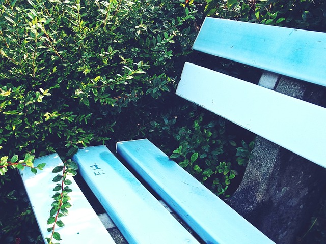 段时间的伤 段时间的伤